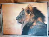 Löwenbild ca. 140 x 100 cm im Rahmen Nordrhein-Westfalen - Menden Vorschau