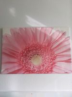 Gerbera Leinwand Bild, Rosa Dortmund - Wellinghofen Vorschau