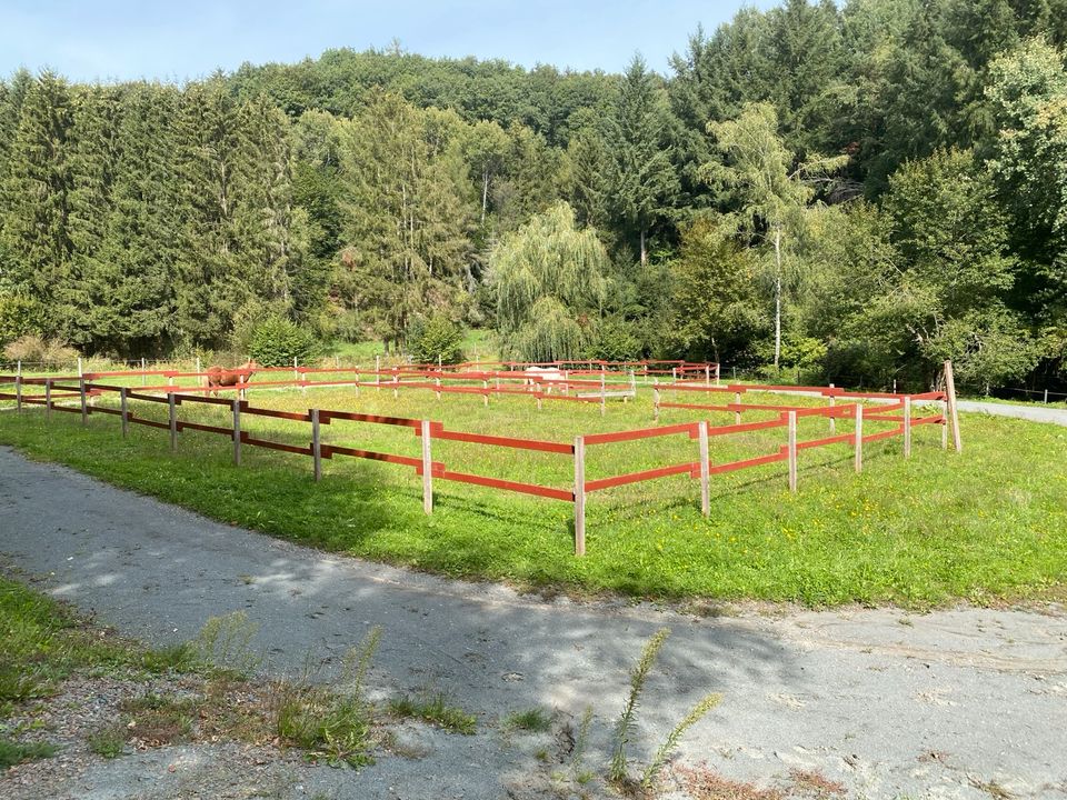 Aussiedler Hof / Pferdehaltung mit Weide und Wald in Wallhalben