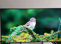 SONY 65 Zoll 164 cm 4K Smart Android TV Saarland - Kleinblittersdorf Vorschau