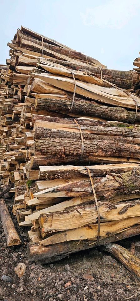 Eichenspaltpfähle Pfahl Pfosten Eiche Holz Zaunbau in Todesfelde