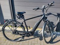 Victoria 9.8 Herren E-Bike mit Zahnriemen Schleswig-Holstein - Rickert Vorschau