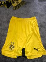 BVB Sporthose Bayern - Pyrbaum Vorschau