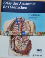 Thieme - Atlas der Anatomie des Menschen – Frank H. Netter Bayern - Ochsenfurt Vorschau