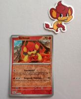 Pokemon Paradoxrift Grillmak mit Sticker Kreis Pinneberg - Elmshorn Vorschau