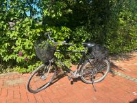 Fahrrad Kettler für eine große Person Schleswig-Holstein - Seedorf Vorschau