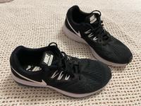 Nike Zoom Winflo 4 Sportschuhe Freizeitschuhe Sneaker 40,5 Brandenburg - Schwarzheide Vorschau