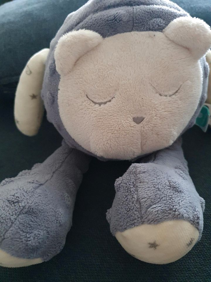 My Hummy Einschlafhilfe Teddy weißes Rauschen in Bloh