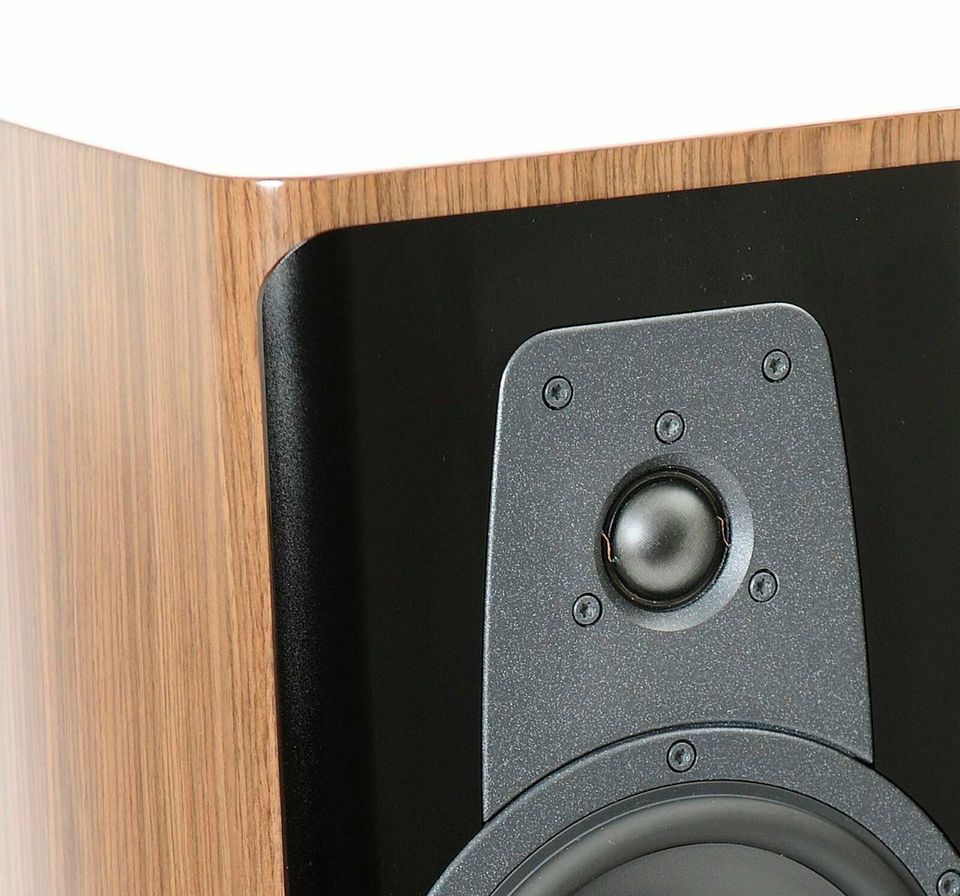 Dynaudio Contour 30 in walnuß Paarpreis in Niederzissen