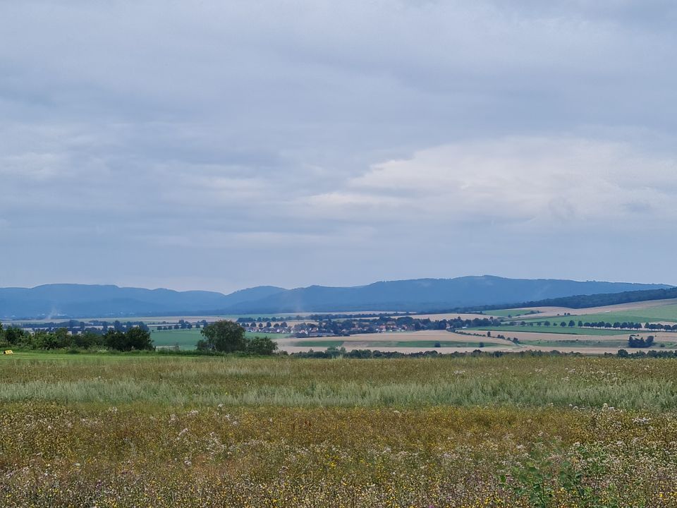 Erschlossenes Grundstück in sehr schöner Lage von Salzgitter-Bad in Salzgitter