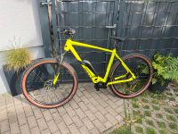 Bulls LT CX 500Wh Bosch CX MTB Sachsen-Anhalt - Colbitz Vorschau