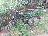 Fahrrad 28 Zoll Sachsen-Anhalt - Halle Vorschau