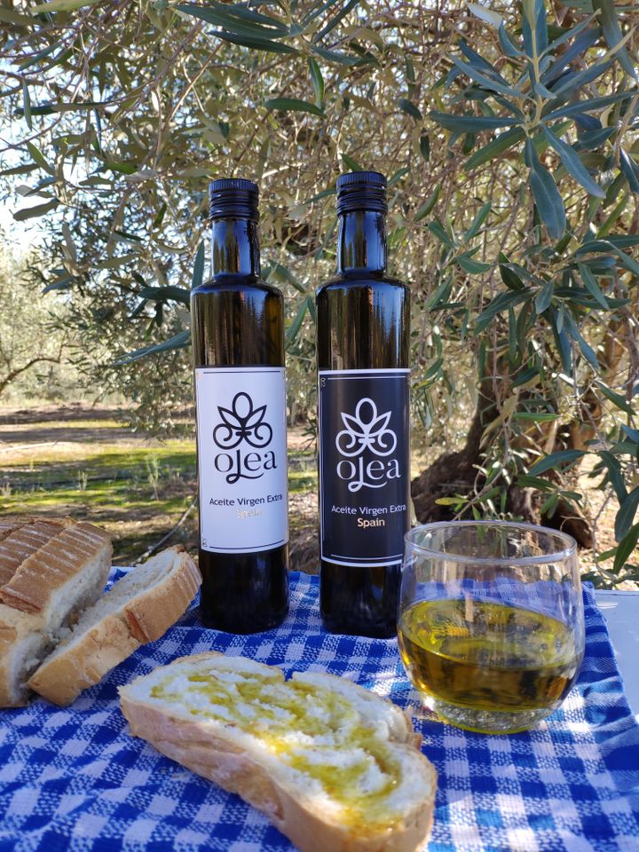 Spanisches Natives Olivenöl extra 0,5L Glasflaschen (Ernte 2024) in Kitzingen