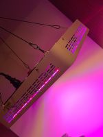 Pflanzenlampe Indoor Growing Ganja BLÜTE  Gras Weed 600 Watt Neu Stuttgart - Stuttgart-Mitte Vorschau