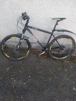 Radon ZR Race MTB Mountainbike 27,5 Zoll, 52 cm Rahmenhöhe Schleswig-Holstein - Flensburg Vorschau