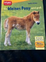 Maxi Heft ein kleines Pony wird groß Nordrhein-Westfalen - Castrop-Rauxel Vorschau