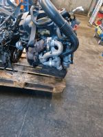 Motor Mercedes Sprinter 2.2 646986 BITURBO KOMPLETT Berlin - Tempelhof Vorschau