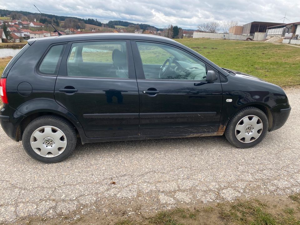 VW Polo 1.2 9N in Gerolsbach