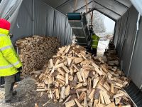 Brennholz / Kaminholz Thüringen - Saalfeld (Saale) Vorschau