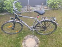 Fahrrad Pegasus Herren Niedersachsen - Wilhelmshaven Vorschau