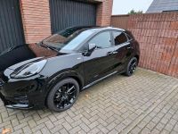 Ford Puma St line Nordrhein-Westfalen - Selm Vorschau