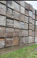 Kartoffelkisten Möhren Kisten  1,20x1,20x1,60 Dithmarschen - Buesum Vorschau