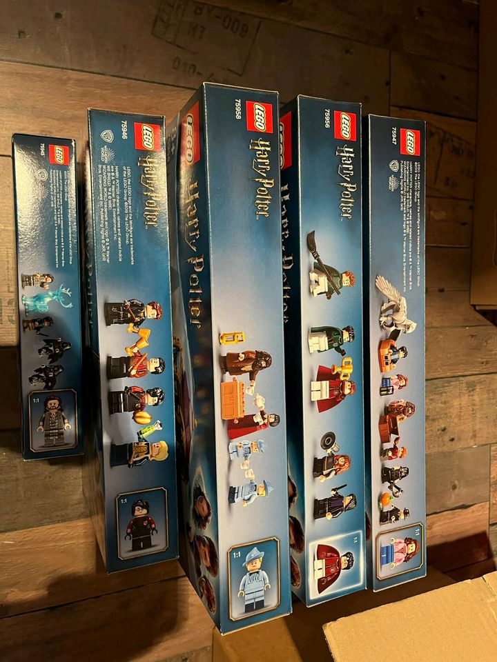 LEGO Konvolut Harry Potter Sammlung OVP selten EOL Set's Bücher in Siegen