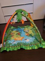 Rainforest Spielbogen von Fisher Price Hessen - Hochheim am Main Vorschau