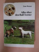 Alles über den Bullterrier Tom Horner Niedersachsen - Eicklingen Vorschau