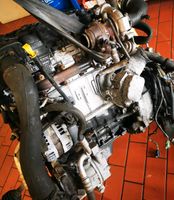 Ford Fiesta 1,4 TDCI  Motor 50KW Bj 2007 Niedersachsen - Holdorf Vorschau