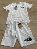 The north Face tshirt Rheinland-Pfalz - Sinzig Vorschau