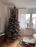 Tannenbaum ohne Schmuck 2,80m höhe Frankfurt am Main - Innenstadt Vorschau