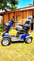 Elektromobil Powermobil 20 km/h Scooter 100 Ah E-Mobil Baden-Württemberg - Stockach Vorschau