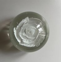 Briefbeschwerer Paperweight Glas Blume Rose weiß 8 cm Hannover - Vahrenwald-List Vorschau