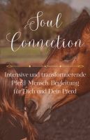 1:1 Mensch-Pferd-Coaching - Verhaltensberatung & Beziehungstraini Niedersachsen - Heeslingen Vorschau
