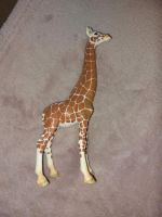 Schleich Giraffe Baden-Württemberg - Villingen-Schwenningen Vorschau