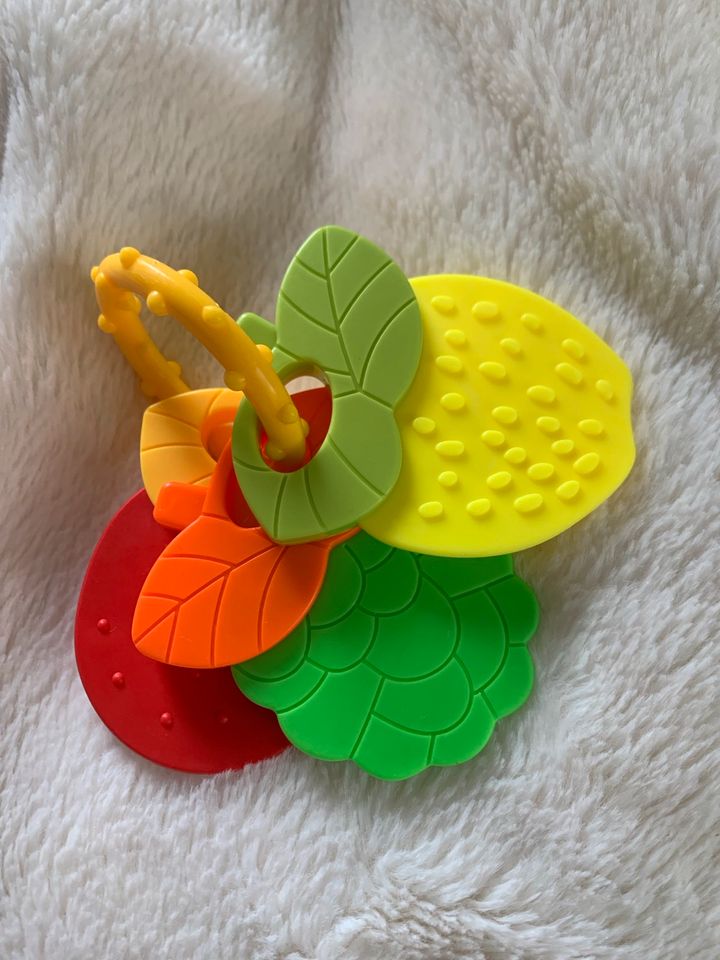 Baby Spielzeug Früchte neu Kauring Pastell bunt Set in Reinhardshagen