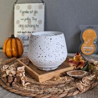 Scentsy bespeckled Duftventilator Sachsen-Anhalt - Thale-Warnstedt Vorschau