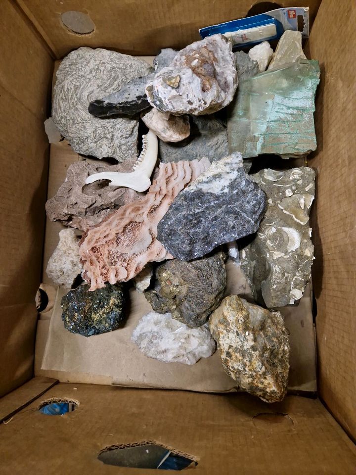 Steinsammlung Mineralien Sammlung Konvolut Set Kristalle Spat in Dieburg