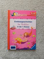 Leserabe Kinderbuch Erstlesegeschichten für Mädchen Dresden - Weixdorf Vorschau