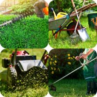 Wir bieten Garten Arbeit Niedersachsen - Hameln Vorschau