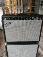 Fender Prosonic 2x10" Combo Vollröhre, Rectivier-Schaltung Dithmarschen - St. Michaelisdonn Vorschau