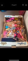 Barbie Puppen und Kleidung Schuhe Shelly Astronautin Reiterbarbie Baden-Württemberg - Hilzingen Vorschau