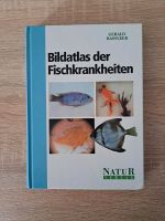 Bildatlas der Fischkrankheiten von Gerald Bassler Baden-Württemberg - Ludwigsburg Vorschau