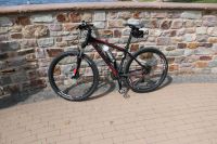 Cube Herrenmontainbike 29 Zoll Saarland - Riegelsberg Vorschau