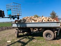 Buche Brennholz Feuerholz Kaminholz Ofenholz Wunschlänge Fichte Thüringen - Kindelbrück Vorschau