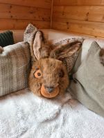 Ostern Osterhase Plüschtier Hase Shabby Landhausstil dekorieren Nordrhein-Westfalen - Rheurdt Vorschau