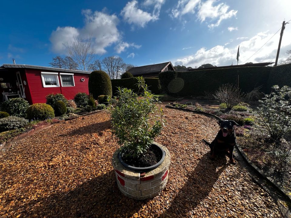 Gemütliches Schwedenhäuschen mit gepflegtem Garten in Wietze