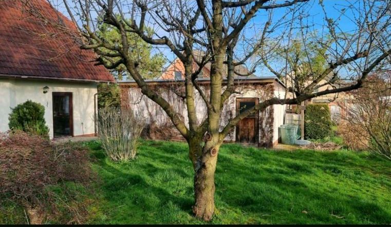 Einfamilienhaus zu vermieten in Grimma