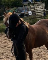 Reitbeteiligung gesucht ❤️ Reiter sucht Pferd Niedersachsen - Seevetal Vorschau